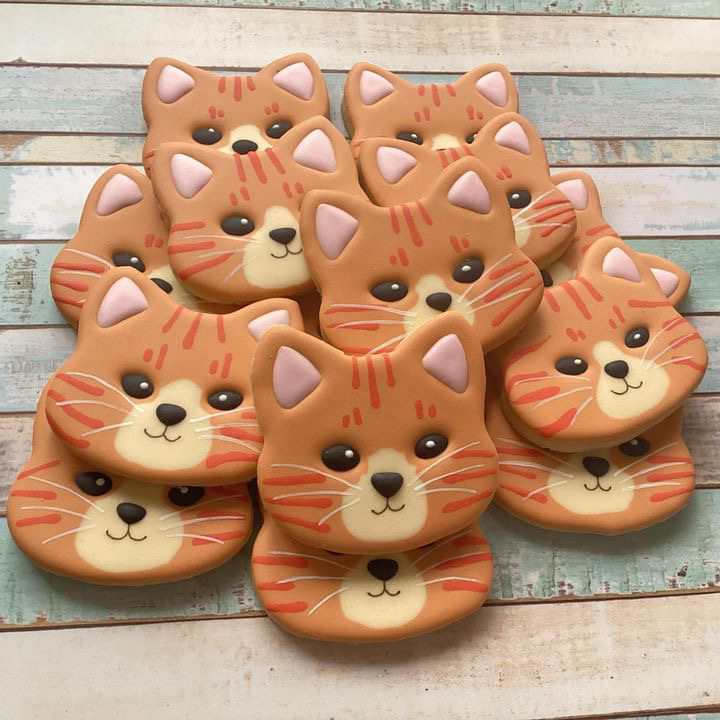 E5FA177D-9109-4D89-A125-8B91662A00E9